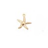 Breloque étoile de mer 17x14mm acier inox doré