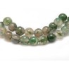 Agate mousse claires 6mm vert x15