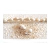 Coquillages perles 9mm blancs  X6
