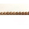 Perles en bois de camphrier 8mm beige X 10