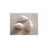 Coquillages percés 15-22mm blanc X6