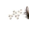 Facettes de Bohême 4mm white pearl x 50