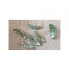 Coquillages demi lune à 2 trous-Vert x6