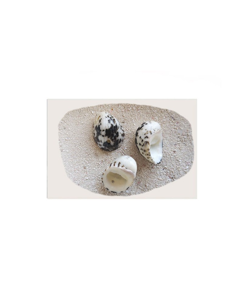 Coquillage perle -2 trous-Noir et blanc