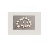 Perles coquillages baby escargots 5x4mm-Blanc